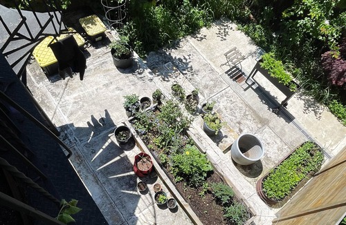 East Williamsburg House | Bright & Spacious Garden Apartment with workspace in Vibrant Bushwick + Parking!