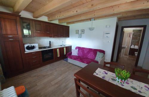 Cercivento House | Buine Tiere
