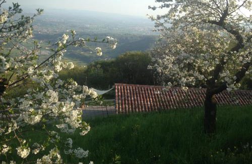 Calvene Cabin | CalVenere