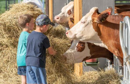 Arco Other | Camping Agrisalus