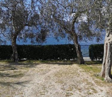 Brenzone sul Garda Other | Camping Baldo