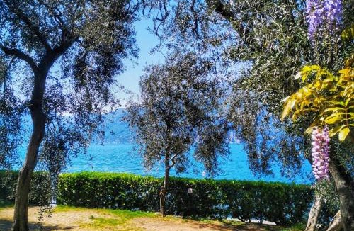 Brenzone sul Garda Other | Camping Baldo