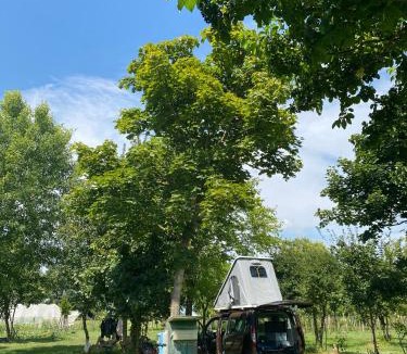 Ospedaletto di Pescantina Other | Camping Biologico La Buona Terra