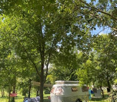 Ospedaletto di Pescantina Other | Camping Biologico La Buona Terra