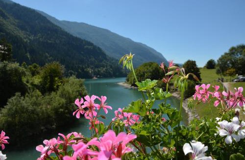 Molveno Apartment | Casa Angelo