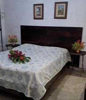 Eldorado House | Casa Darwin