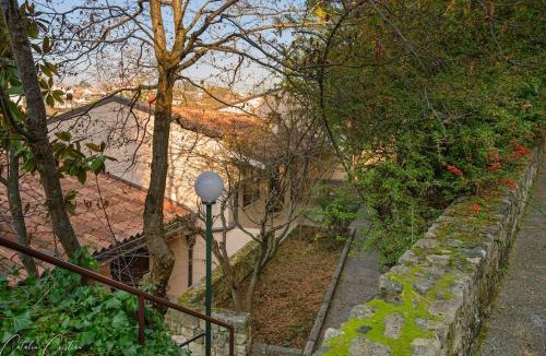 Pedemonte Apartment | Casa delle Magnolie