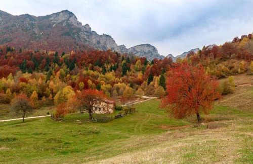 Valdagno House | Casa Gildo 1828