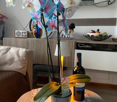 San Zeno di Montagna Apartment | Casa Heli II