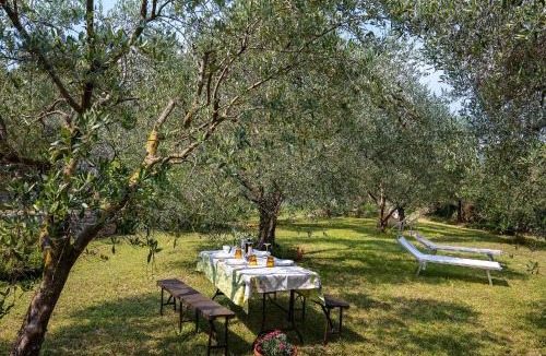 Sant'Ambrogio di Valpolicella Apartment | Casa Dal Vecio Carli
