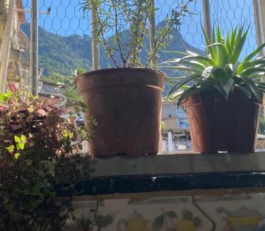 Sao Conrado House | Casa Zona Sul