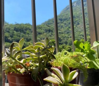 Sao Conrado House | Casa Zona Sul