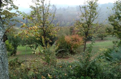 Alba Bed & Breakfast | Cascina Baresane