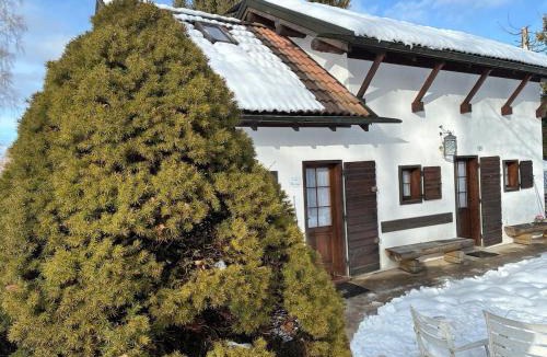 Ponte nelle Alpi Ski Chalet | Casera Marisa Nevegal