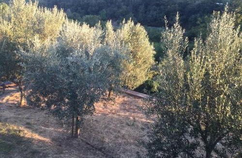Longera House | Casetta Helena