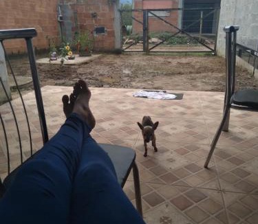 Itinga House | Casinha Rosinha