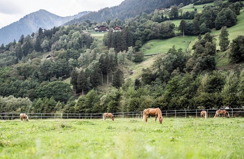 San Leonardo in Passiria Ski Chalet | Chalet Jura