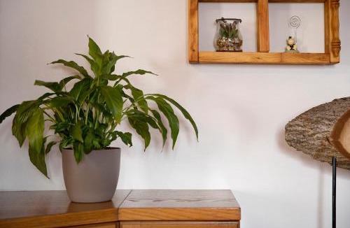 Valtellina Apartment | Chalet Maffins 2