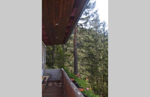 Borca di Cadore Ski Chalet | Chalet nel bosco