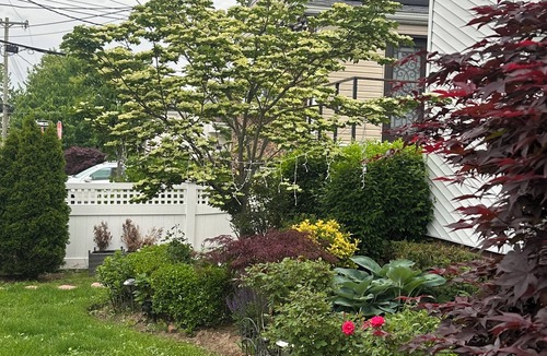 Canarsie House | Charming 1-bedroom with WiFi and central AC in Brooklyn
