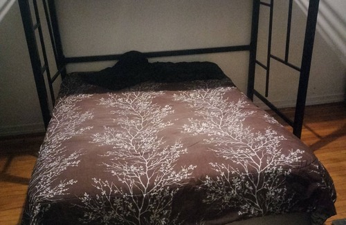 Williamsbridge Apartment | Charming 2-bedroom apartment in awesome The Bronx with WiFi, AC