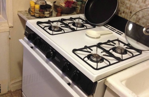 Kensington Apartment | Charming Quiet Sunny 1br Ditmas Park Close to Train