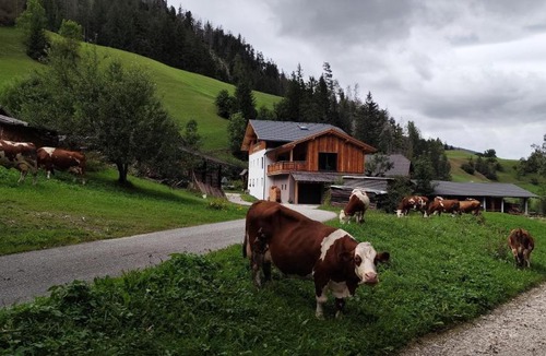 San Martino in Badia Ski Chalet | Ciasa Lovara