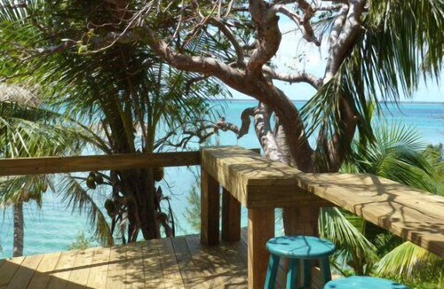 Green Turtle Cay Cottage | Coco Nut Tree House is nestled in Tropical Foliage on Crystal Clear Sea of Abaco