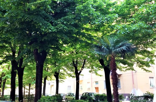 Cittadella Apartment | Comfortable, quiet apartment in a strategic position in Verona