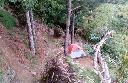 Blue Mountains National Park RV Rental | Cosy and secluded 6-Person Tent - Camping Blue Mountain Wilderness Retreat