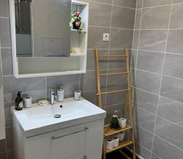 Chevilly-Larue Apartment | Cosy T2 au porte dOrly Rungis au pied du metro ligne 14