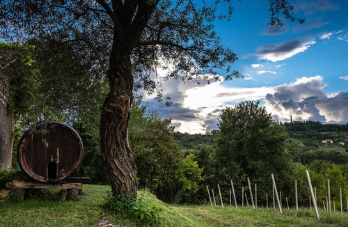 Conegliano Apartment | Country house in the Prosecco hills, 4 apartments