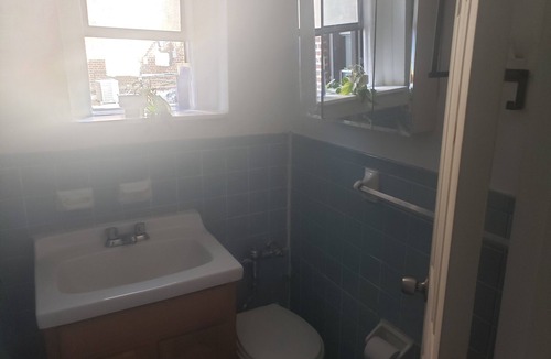 Ditmas Park Apartment | Cozy One-Bedroom down the block from Prospect Park!
