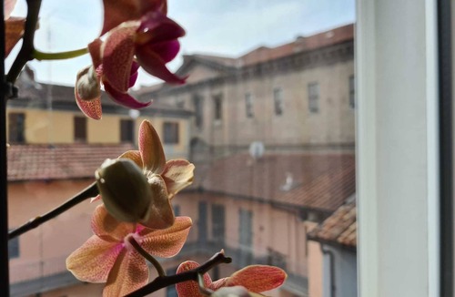 Langhe and Roero Apartment | CUORE DI ALBA - Charming apartment with private garage in ALBA downtown