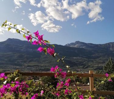 Rovereto Bed & Breakfast | DOLCE DORMIRE
