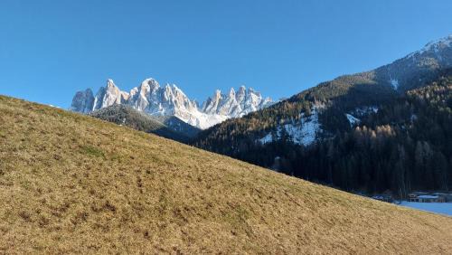 Santa Maddalena Apartment | Dolomiten Home