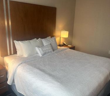 Gowanus Hotel | Fairfield Inn & Suites By Marriott New York Brooklyn