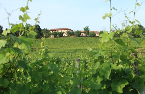 Buttrio Other | Farmhouse surrounded by vineyards