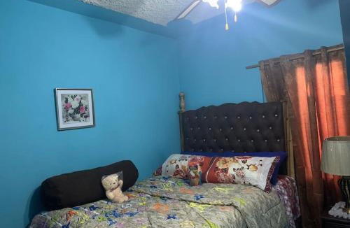 Kingston Apartment | Forrest Family Property