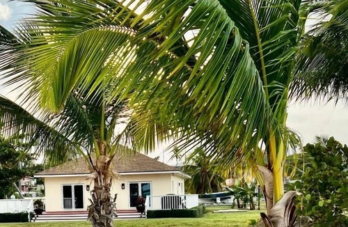 Rolleville Villa | Frangipani BeachFront Villa just steps away from the most beautiful beach!!!!