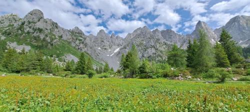 Schilpario Apartment | GREEN DOLOMYTE Apartment