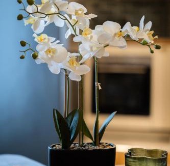 Villiers-sur-Marne Apartment | Green Dream Proximite Paris & Disneyland