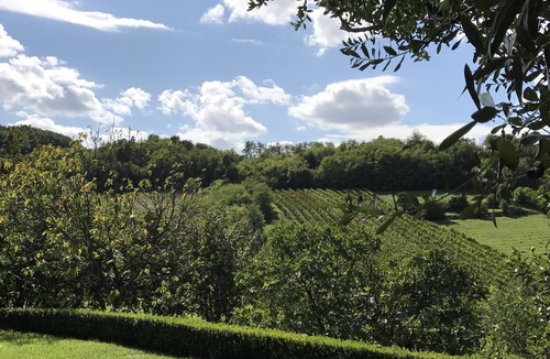 Teolo Villa | Historic Veneto Villa with Vineyard Views Near Venice, Padua & Golf Courses