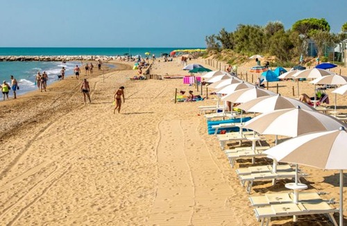 Jesolo Pineta House | Holiday Village Jesolo - Lodge Comfort PET AGCLU (3510)