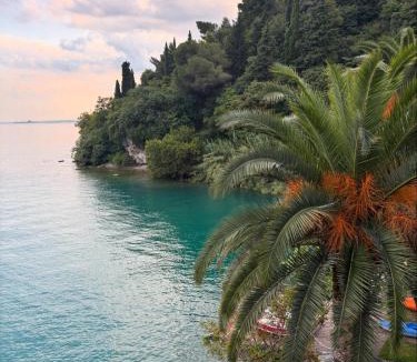 Tignale Hotel | Hotel Forbisicle