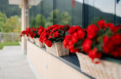 Vaneze Hotel | Hotel Monte Bondone