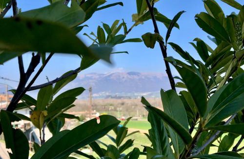 Crocetta del Montello House | Il Re Della Cantina Appartamenti