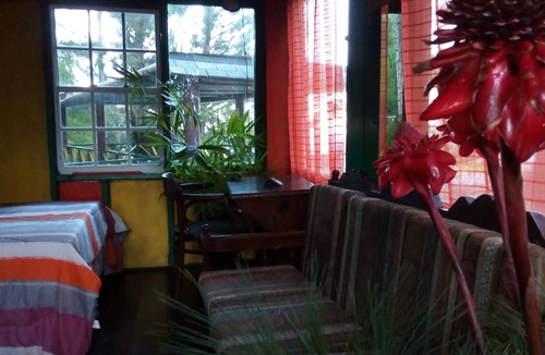 Blue Mountains National Park Cabin | Jamaica House - The Blue Mountain Wilderness Retreat