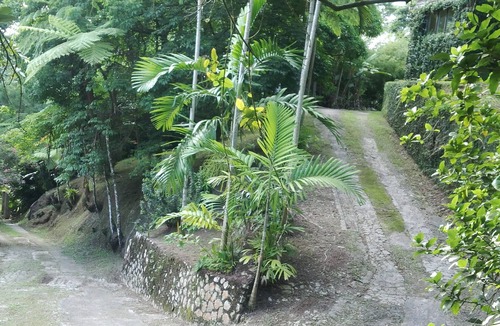 Mount James House | Lejartre's Retreat, A Vacation Villa in the Blue & John Crow Mountains, Jamaica