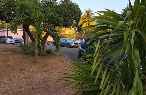 Camperdown Apartment | Kozy Kingston Condo at Merrivale Apartments